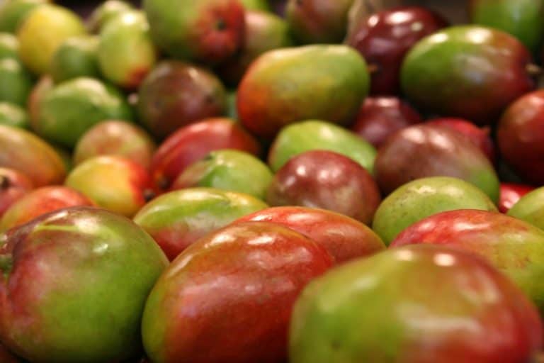 African Mango